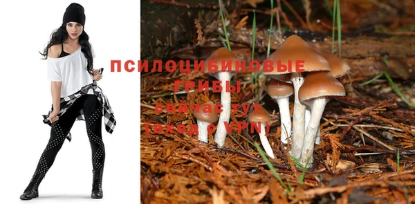 прущий лед Коряжма