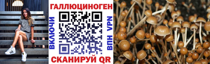 Псилоцибиновые грибы прущие грибы Пионерский