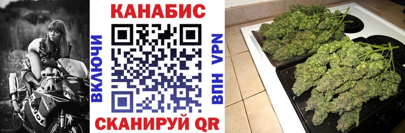 mega как войти  Пионерский  Бошки Шишки индика  где купить наркоту 